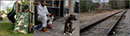 gallery/a-triptics/14.jpg
