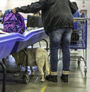 gallery/d-thriftshop/12.jpg