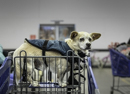 gallery/d-thriftshop/9.jpg